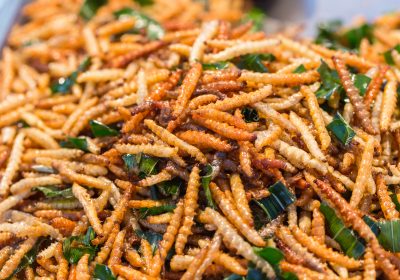 Manger des insectes : Bon pour la planète